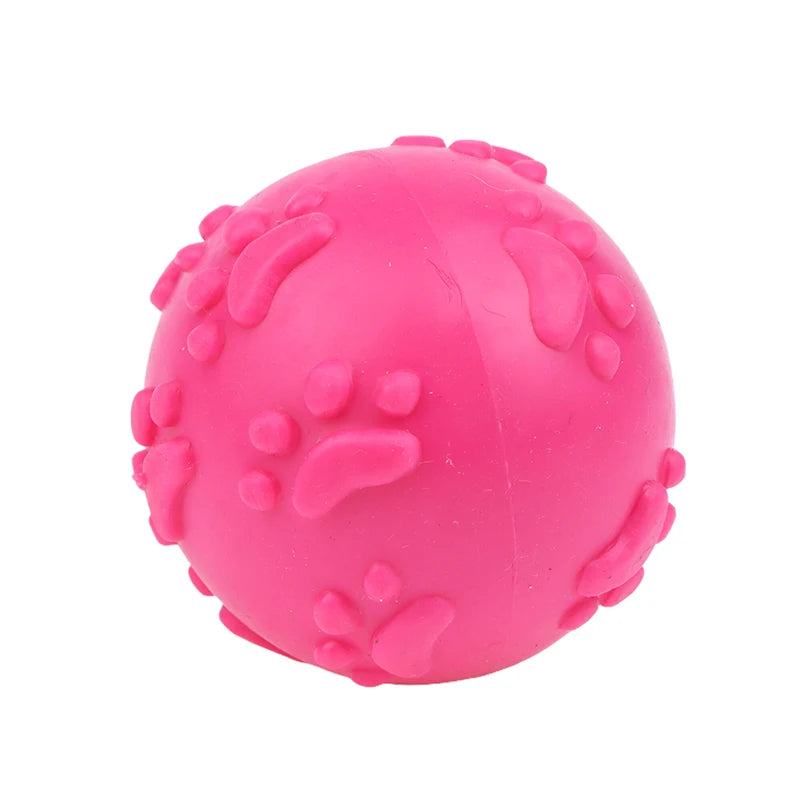 Squeaky Latex Dog Toy Ball – Paw Print for Small Breeds Dog Chew Toy Richie's A2