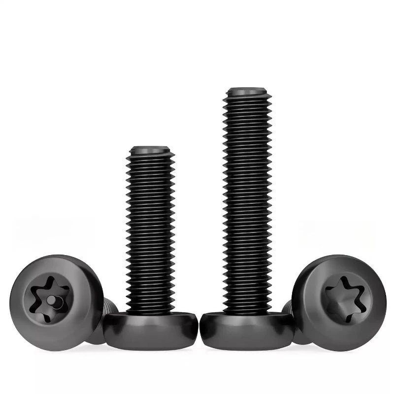 Black 304 SS Torx Pan Head Tamper-Proof Security Screws M3–M10 Security Screws Richie's