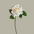 Multicolor Artificial Rose Single Stem – Real Touch Faux Flower Artificial Flower Richie's Beige