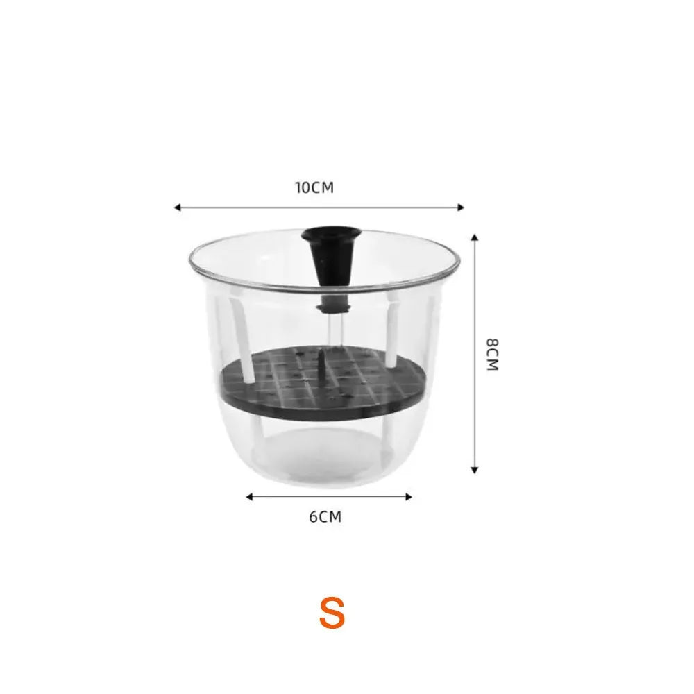 Transparent Self-Watering Plant Pot – Double Layer Planter Self-Watering Planter Richie's 10x8x6cm