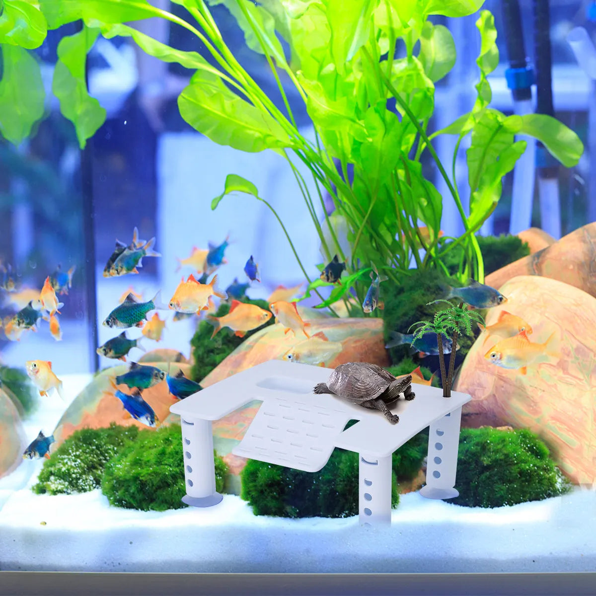 Square Turtle Basking Platform | Plastic Reptile Tank Stair Island Reptile Basking Platform Richie's