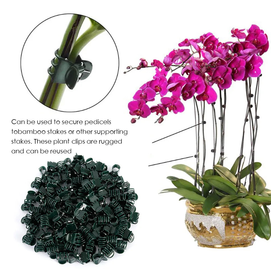100pc Plant Support Clips for Orchids, Vines & Climbing Plants Plant Support Clips Richie's