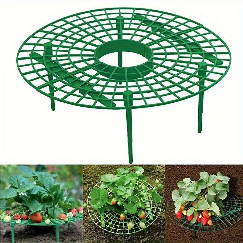 Strawberry Plant Support Stakes for Pots – 2pcs Set | Richie's Plant Support Stakes Richie's