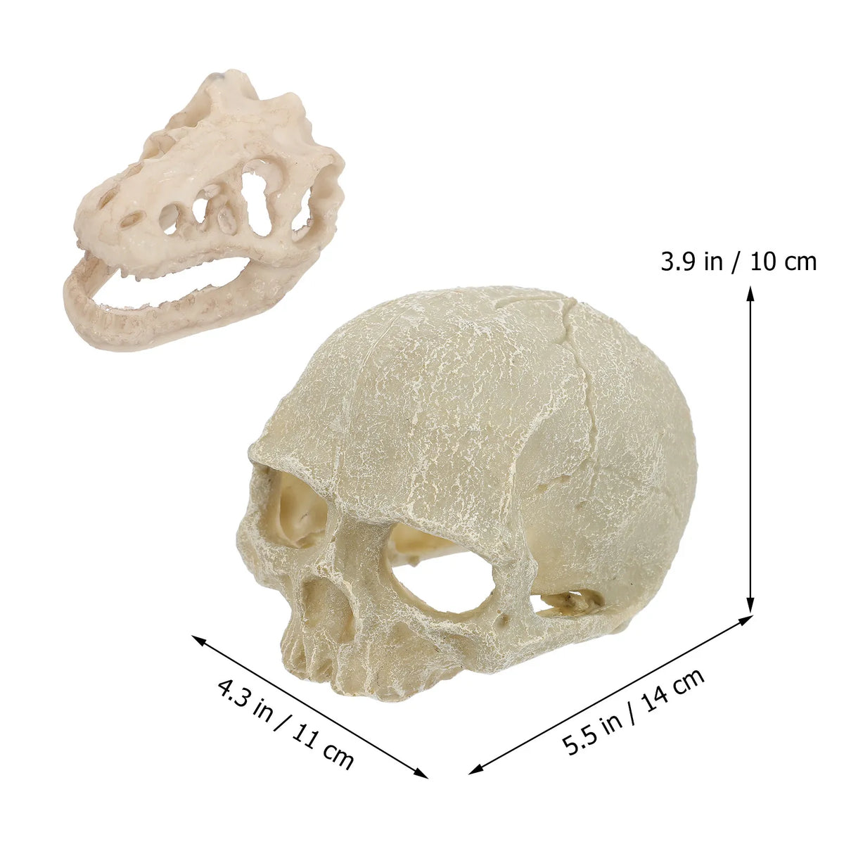 2-Pack Skull Resin Aquarium Ornaments | Fish Tank Decor Aquarium Ornament Richie's