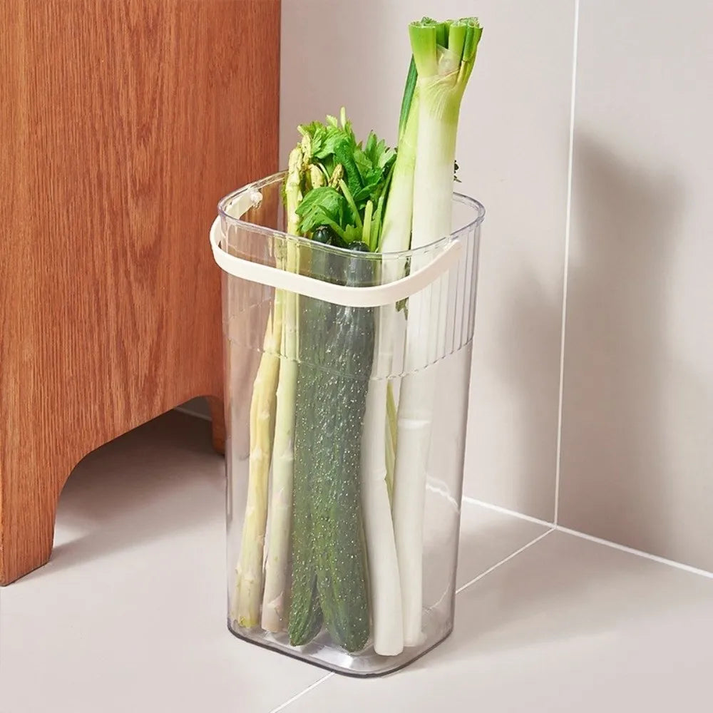 Transparent Vegetable Storage Bucket – Green Onion Organizer Vegetable Storage Bucket Richie's
