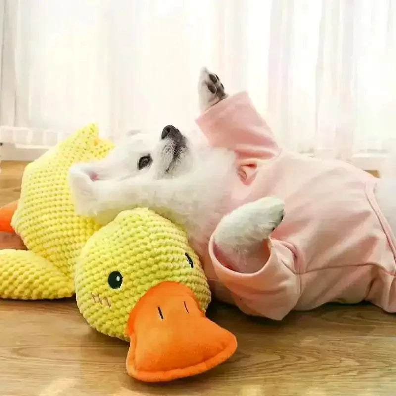 Squeaky Plush Duck Dog Toy – Chew Toy for All Breeds Dog Chew Toy Richie's
