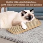 Catnip Kicker Toy – Sisal Scratch & Bite Pillow for Cats Cat Kicker Toy Richie's