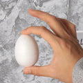 Foam Easter Eggs for DIY Crafts – 20 Pcs Holiday Décor Foam Craft Eggs Richie's other