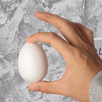 Foam Easter Eggs for DIY Crafts – 20 Pcs Holiday Décor Foam Craft Eggs Richie's other
