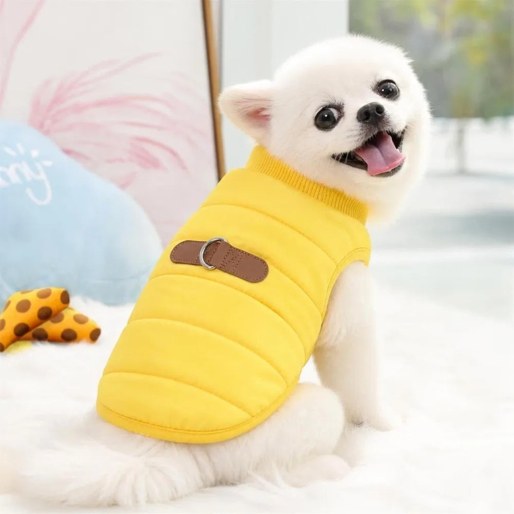 Windproof Padded Dog Winter Jacket for Small & Medium Dogs Dog Winter Jacket Richie's