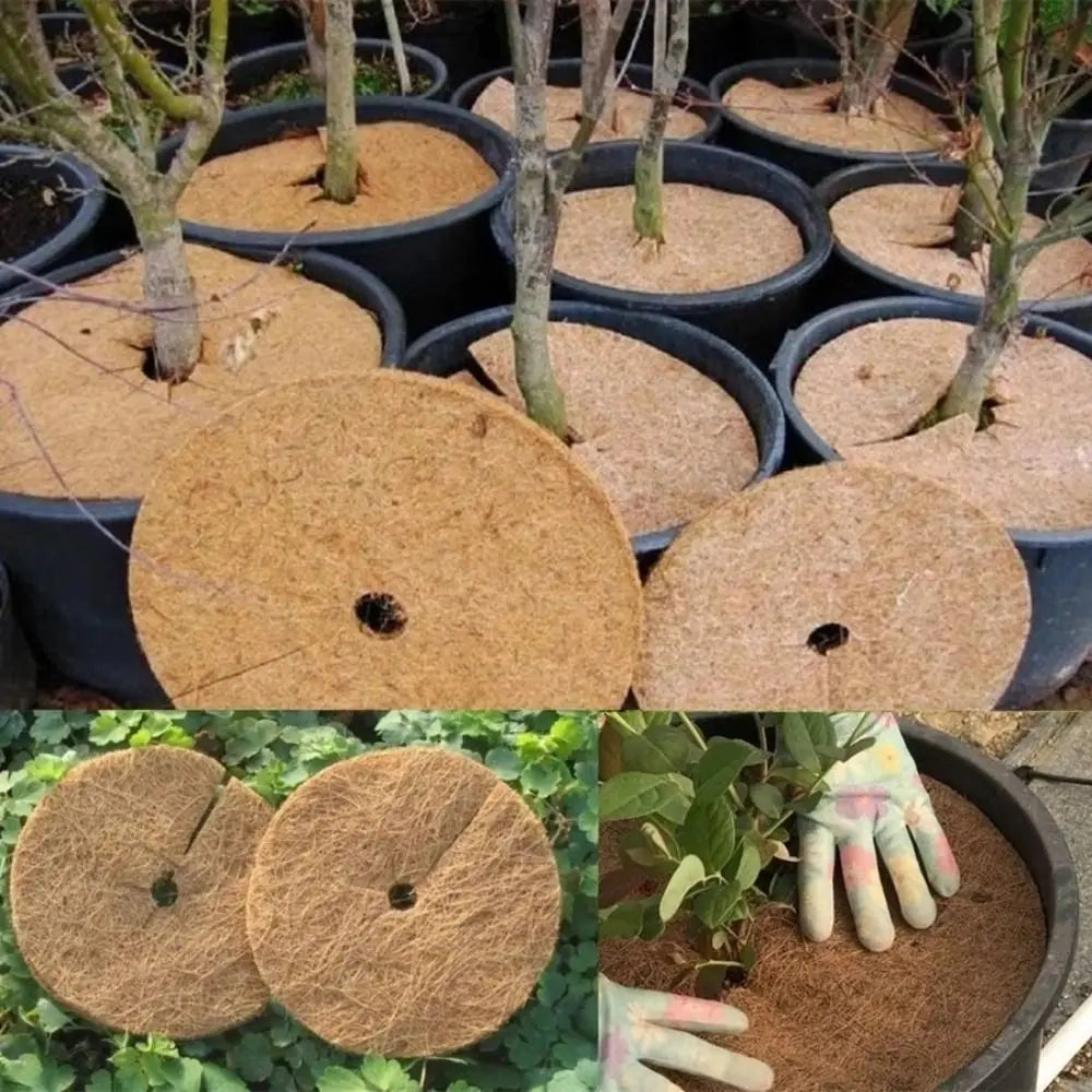 Natural Coconut Fiber Flower Pot Mat – Weed Barrier Disc 5 Sizes Garden Mulch Mat Richie's