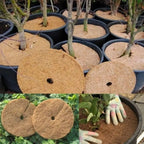 Natural Coconut Fiber Flower Pot Mat – Weed Barrier Disc 5 Sizes Garden Mulch Mat Richie's