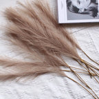 10PCS Fluffy Pampas Grass Artificial Stems 55CM | Wedding Decor Artificial Pampas Grass Richie's
