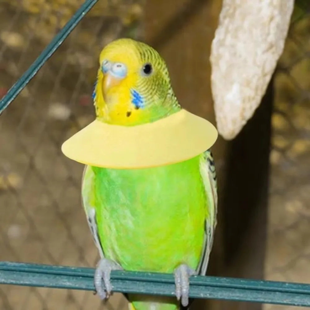 Bird Elizabethan Collar – Soft EVA Protective Cone for Parrots Bird Protective Collar Richie's