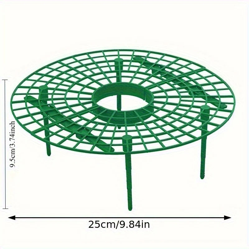 Strawberry Plant Support Stakes for Pots – 2pcs Set | Richie's Plant Support Stakes Richie's