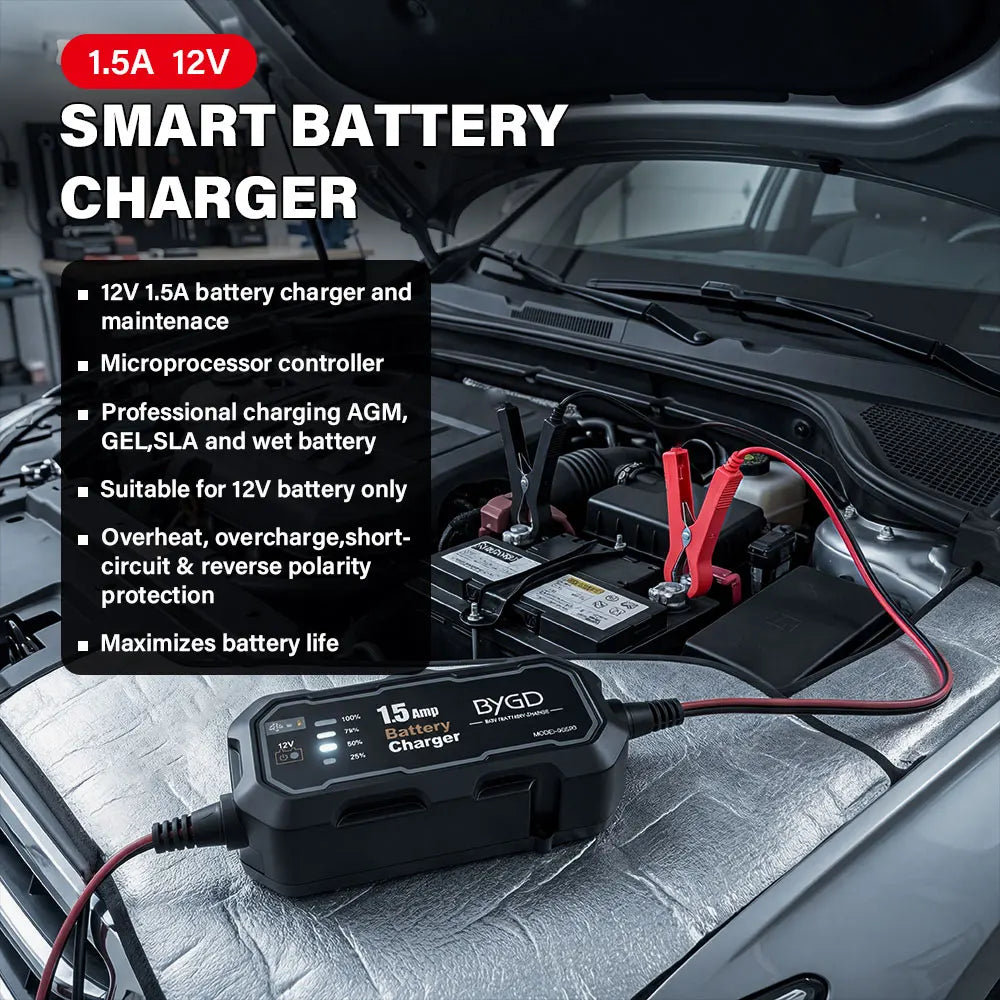 12V Auto Battery Charger & Maintainer with LED – Automotive & Marine Battery Charger Maintainer Richie's