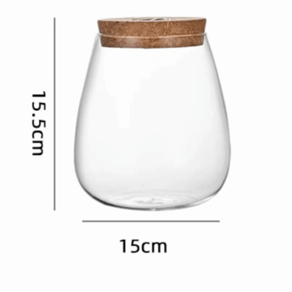 Glass Propagation Station Vase Rack with Wooden Base Glass Propagation Vase Richie's Style9