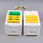 Foam Queen Bee Breeding Mating Box – Beekeeping Hive Bee Breeding Box Richie's
