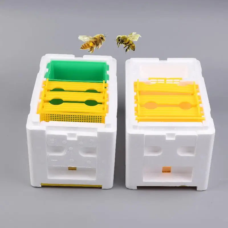 Foam Queen Bee Breeding Mating Box – Beekeeping Hive Bee Breeding Box Richie's