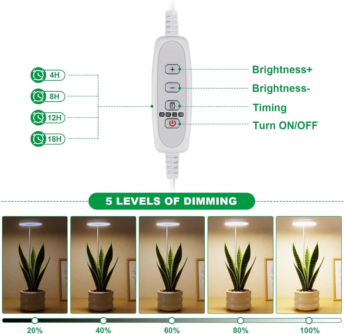 USB Full Spectrum LED Grow Light Bulb – Timer & Dimmable 5V LED Grow Light Richie's