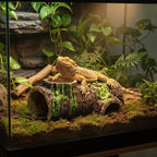 Resin Bark Reptile Hide Cave – Lizard Snake Terrarium Shelter Reptile Hide Cave Richie's