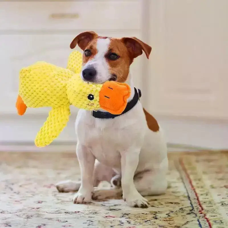 Squeaky Plush Duck Dog Toy – Chew Toy for All Breeds Dog Chew Toy Richie's