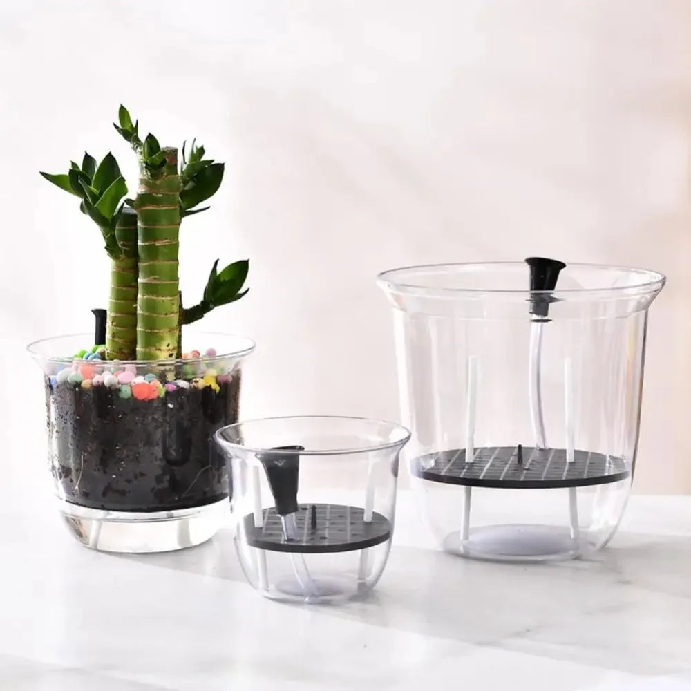 Transparent Self-Watering Plant Pot – Double Layer Planter Self-Watering Planter Richie's