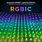 USB Smart Fairy String Lights 600 LED RGB Music Control 3M LED String Lights Richie's