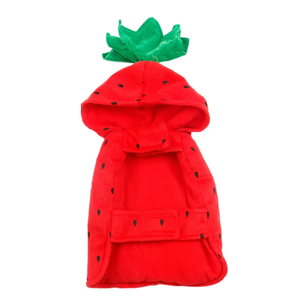 Strawberry Pet Costume for Small Dogs & Cats | Festival Outfit Pet Costume Richie's Default Title