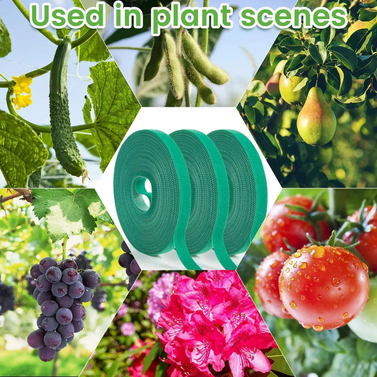 Reusable Nylon Plant Ties – Self-Adhesive Hook & Loop Fastener Garden Plant Ties Richie's