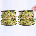 2 Rolls 10M Artificial Rattan Vine Rope – Simulation Leaf Decor Artificial Vine Rope Richie's
