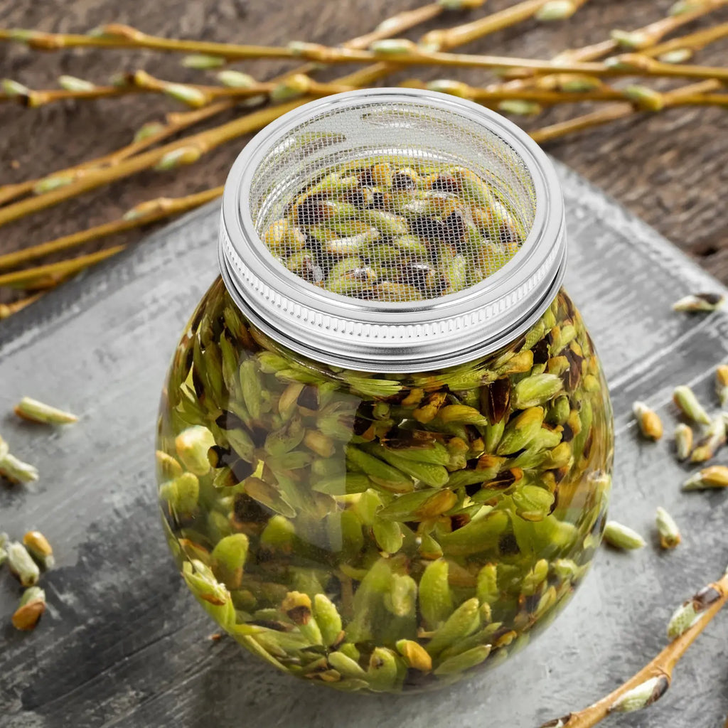 3-Pack Stainless Steel Sprouting Lids for Wide Mouth Mason Jars Mason Jar Sprouting Lids Richie's