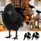 Realistic Feathered Crow Raven Halloween Decoration Ornament Halloween Decoration Richie's