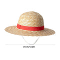 Anime Cosplay Straw Sun Hat – Unisex Beach & Festival Hat Cosplay Straw Hat Richie's 31cm 1pc
