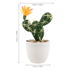 Mini Artificial Cactus Plants in Pots – 7" Faux Succulent Decor Artificial Plant Decor Richie's