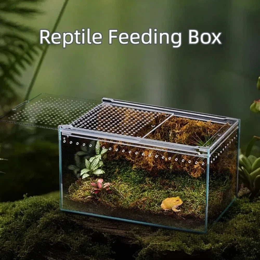 Transparent Acrylic Reptile Terrarium – Ventilated Lizard Habitat Reptile Terrarium Richie's