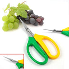 Garden Pruning Shears – Stainless Steel Bypass Scissors for Fruit Pruning Shears Richie's
