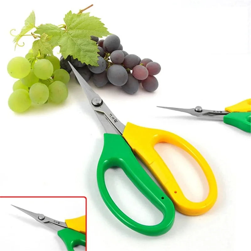 Garden Pruning Shears – Stainless Steel Bypass Scissors for Fruit Pruning Shears Richie's
