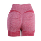 Women's Seamless Gym Shorts – Yoga, Cycling & Fitness Legging Women's Gym Shorts Richie's