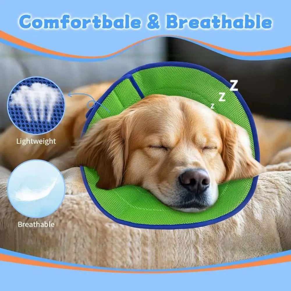 Soft Mesh Pet Recovery Collar Cone for Dogs & Cats | 4 Sizes Pet Recovery Collar Richie's