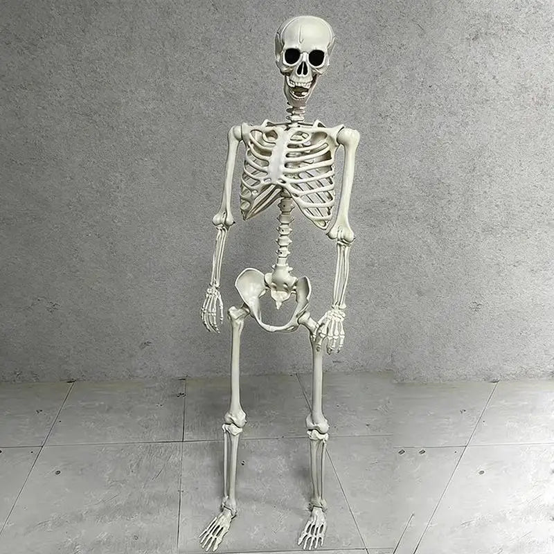 Posable Halloween Skeleton Prop – 15.7" Realistic Plastic Bones Halloween Skeleton Prop Richie's