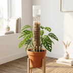 Moss Pole Watering Dripper – Auto Drip Kit for Monstera Plant Watering Dripper Richie's
