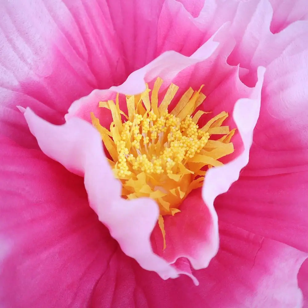 50cm Large Artificial Peony Flower Head – Silk Faux Bloom Decor Artificial Flower Decor Richie's