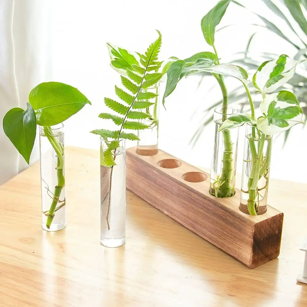 Wooden Stand Hydroponic Vase – Test Tube Minimalist Planter Hydroponic Vase Richie's