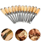 12-Piece Wood Carving Chisel Set – Professional Woodworking Gouges Wood Carving Chisel Set Richie's