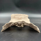 Aquarium Cave Decor – Gorgon Snake Hair Hiding House Ornament Aquarium Cave Ornament Richie's A1