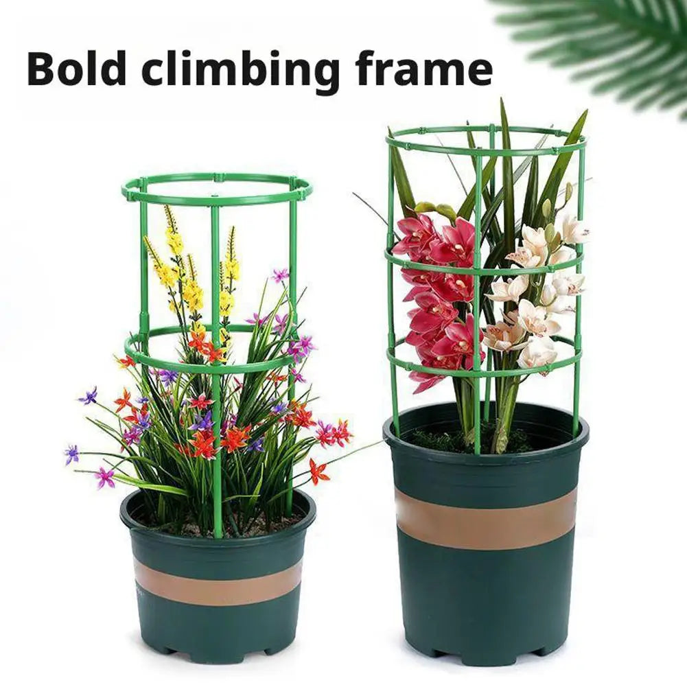 Plant Support Stakes Round Ring Trellis Cage – Green Plastic Plant Support Cage Richie's