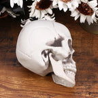 High Detail Skull Ornament – Halloween & Haunted House Decor Halloween Skull Ornament Richie's