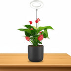 USB Full Spectrum LED Grow Light Bulb – Timer & Dimmable 5V LED Grow Light Richie's 1PC USB