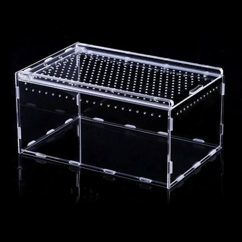 Transparent Acrylic Reptile Terrarium – Ventilated Lizard Habitat Reptile Terrarium Richie's -25x15x15cm